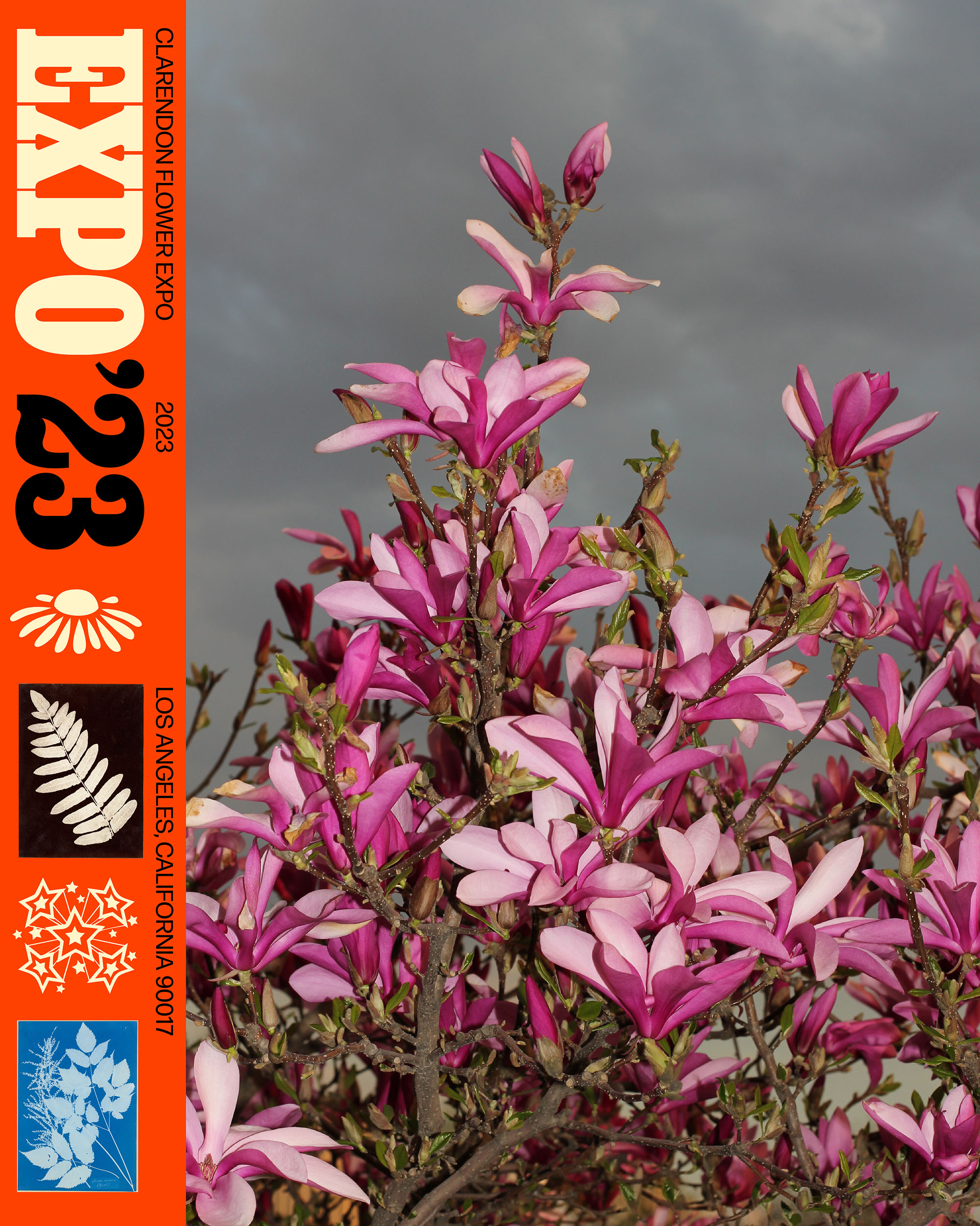 Expo ’23